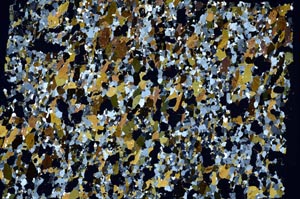 Cross Polarized, S57807