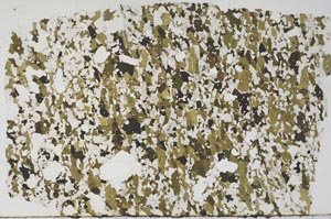 Plane Polarized, S57807/A