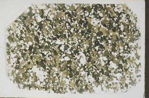 Plane Polarized, S57849