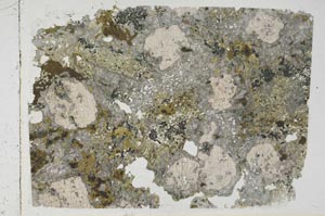 Plane Polarized, S57853