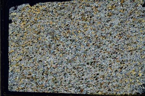 Cross Polarized, S57864