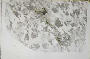 Plane Polarized, S57871