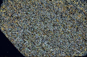 Cross Polarized, S57872