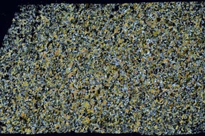 Cross Polarized, S57889