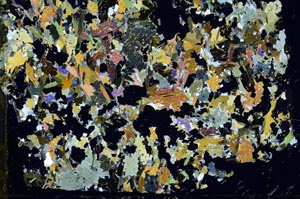 Cross Polarized, S57892