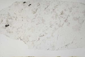 Plane Polarized, S57903