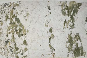 Plane Polarized, S57908