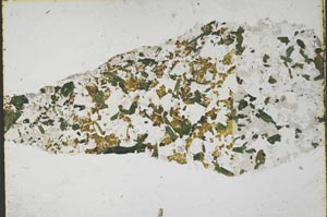 Plane Polarized, S57919