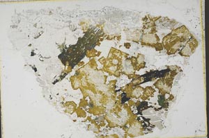 Plane Polarized, S57923/A