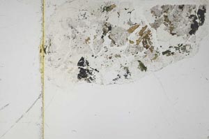 Plane Polarized, S57923/B