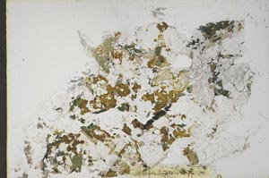 Plane Polarized, S57924