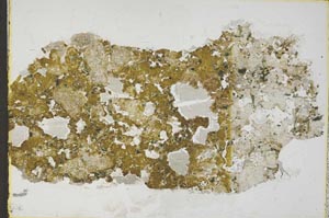 Plane Polarized, S57925