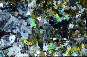 Cross Polarized, S57926/A