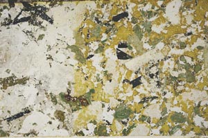 Plane Polarized, S57926/A