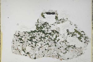 Plane Polarized, S57928