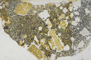 Plane Polarized, S57929