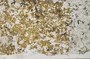 Plane Polarized, S57930