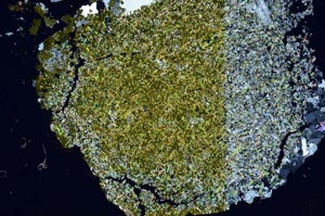 Cross Polarized, S57934