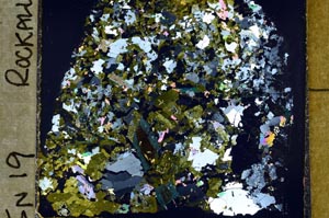 Cross Polarized, S57935