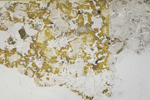 Plane Polarized, S57937