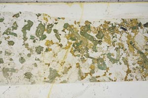 Plane Polarized, S57939