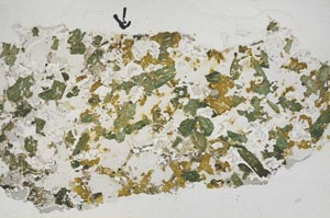 Plane Polarized, S57939/A