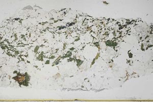 Plane Polarized, S57940/A