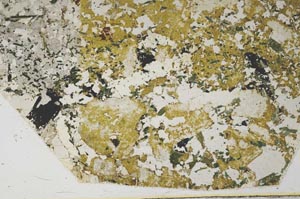 Plane Polarized, S57941