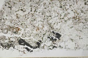 Plane Polarized, S57941/A