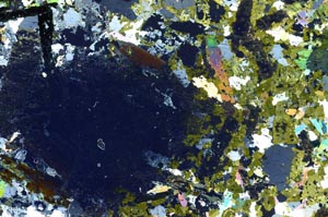 Cross Polarized, S57942