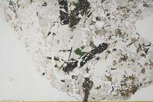 Plane Polarized, S57942/A