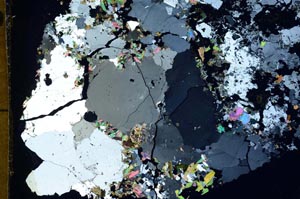 Cross Polarized, S57945