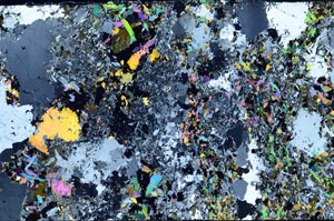 Cross Polarized, S57945/A