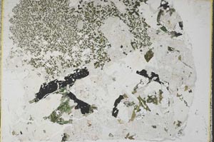 Plane Polarized, S57947