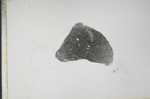 Plane Polarized, S57949