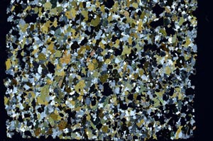 Cross Polarized, S57963