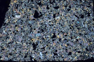 Cross Polarized, S57970