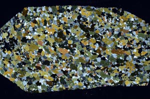 Cross Polarized, S57975