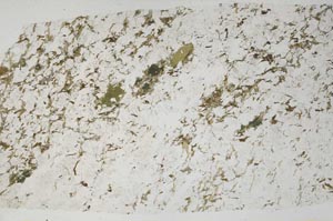 Plane Polarized, S57979