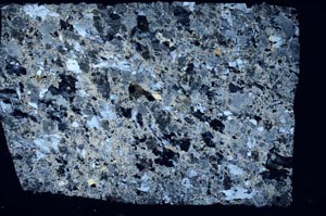 Cross Polarized, S57989