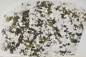 Plane Polarized, S58029