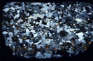 Cross Polarized, S58031
