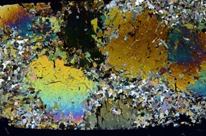 Cross Polarized, S58034