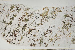 Plane Polarized, S58035
