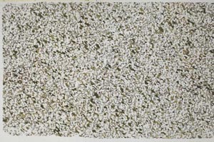Plane Polarized, S58043