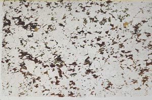 Plane Polarized, S58046