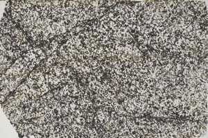 Plane Polarized, S58047