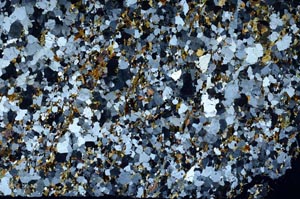 Cross Polarized, S58051