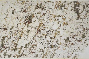 Plane Polarized, S58051