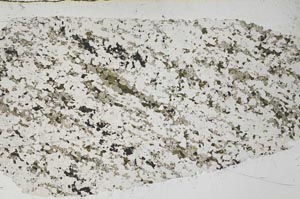 Plane Polarized, S58056